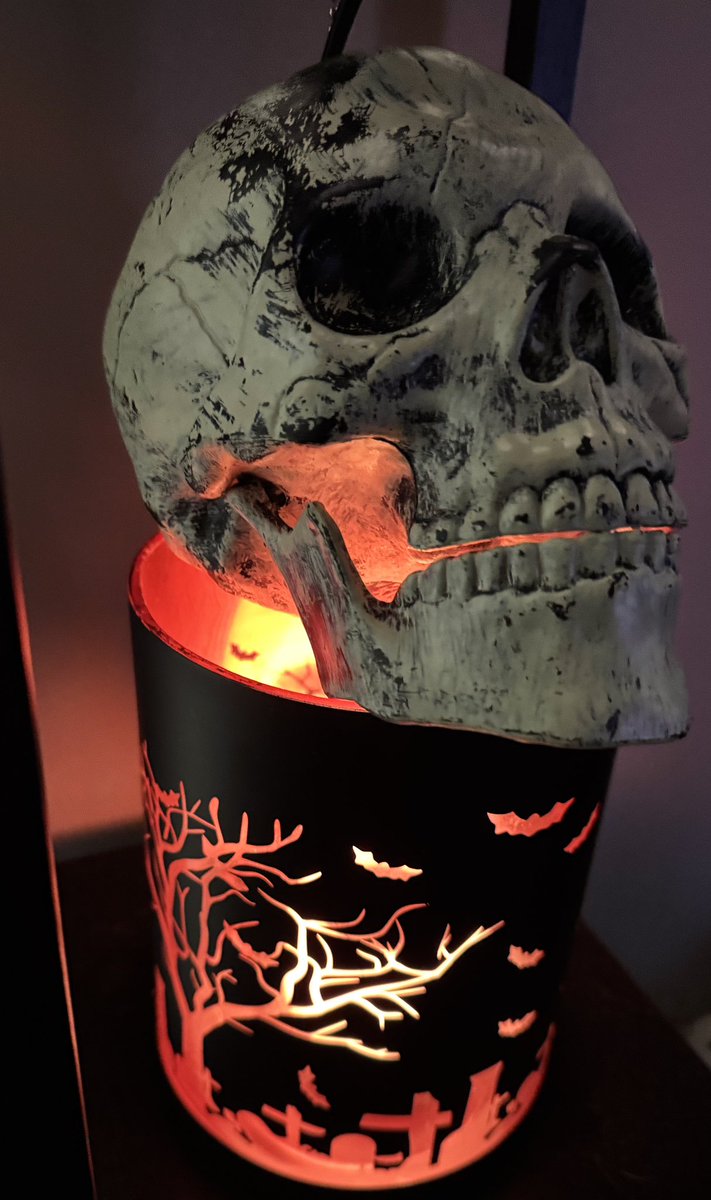 It’s that time so I managed to get some decorations up this weekend💀