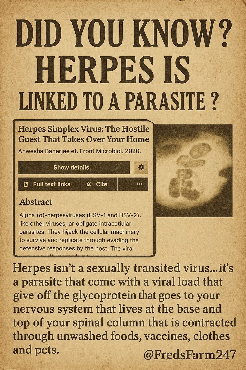 FredsFarm247's tweet image. Herpes isn’t a sexual transited virus👇🏽