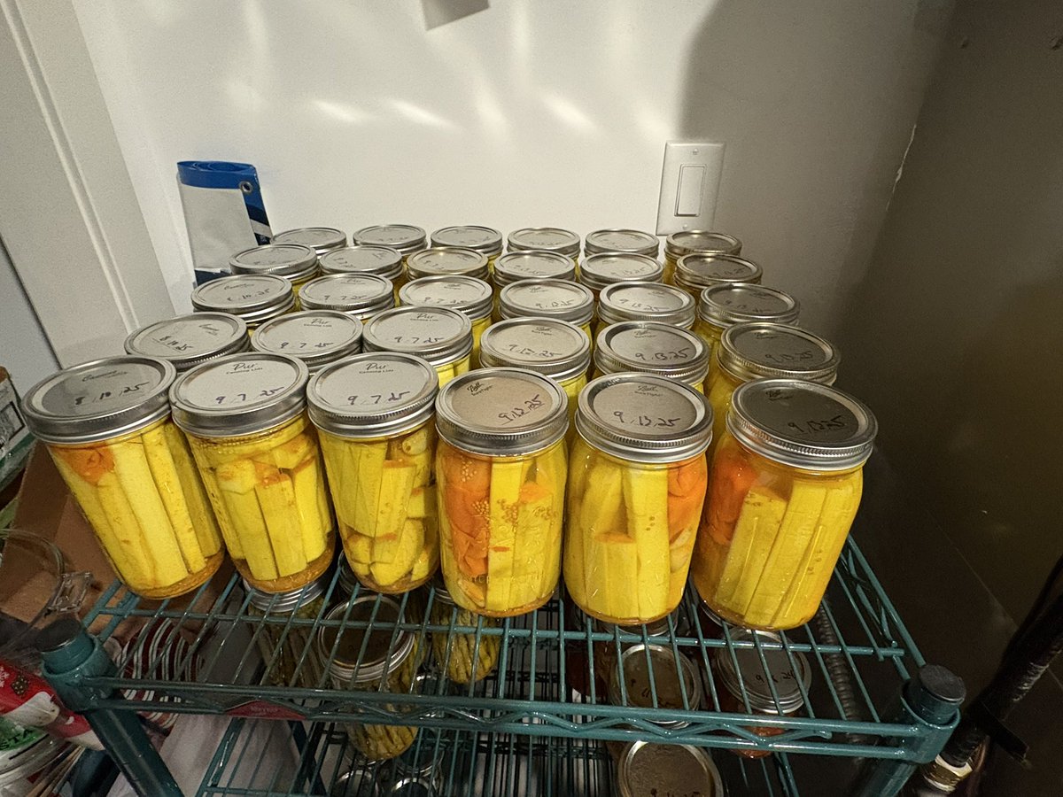 PBoogs8's tweet image. Tis the season to stock up. Hot pickled zucchini, asparagus, cowboy candy, corn salsa, pickled beans and tomato sauce.