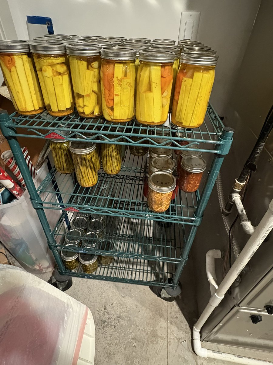 PBoogs8's tweet image. Tis the season to stock up. Hot pickled zucchini, asparagus, cowboy candy, corn salsa, pickled beans and tomato sauce.