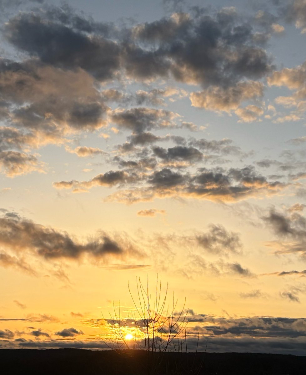 🌻 (@snflower500) on Twitter photo 