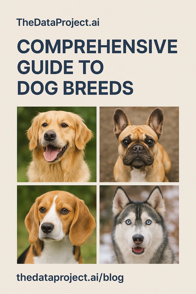 TheDataProject0's tweet image. Love dogs? 🐶 Visit thedataproject.ai/blog/comprehen… for the latest insights! Find your perfect pup today! 🐕 #DogBreeds #TheDataProject