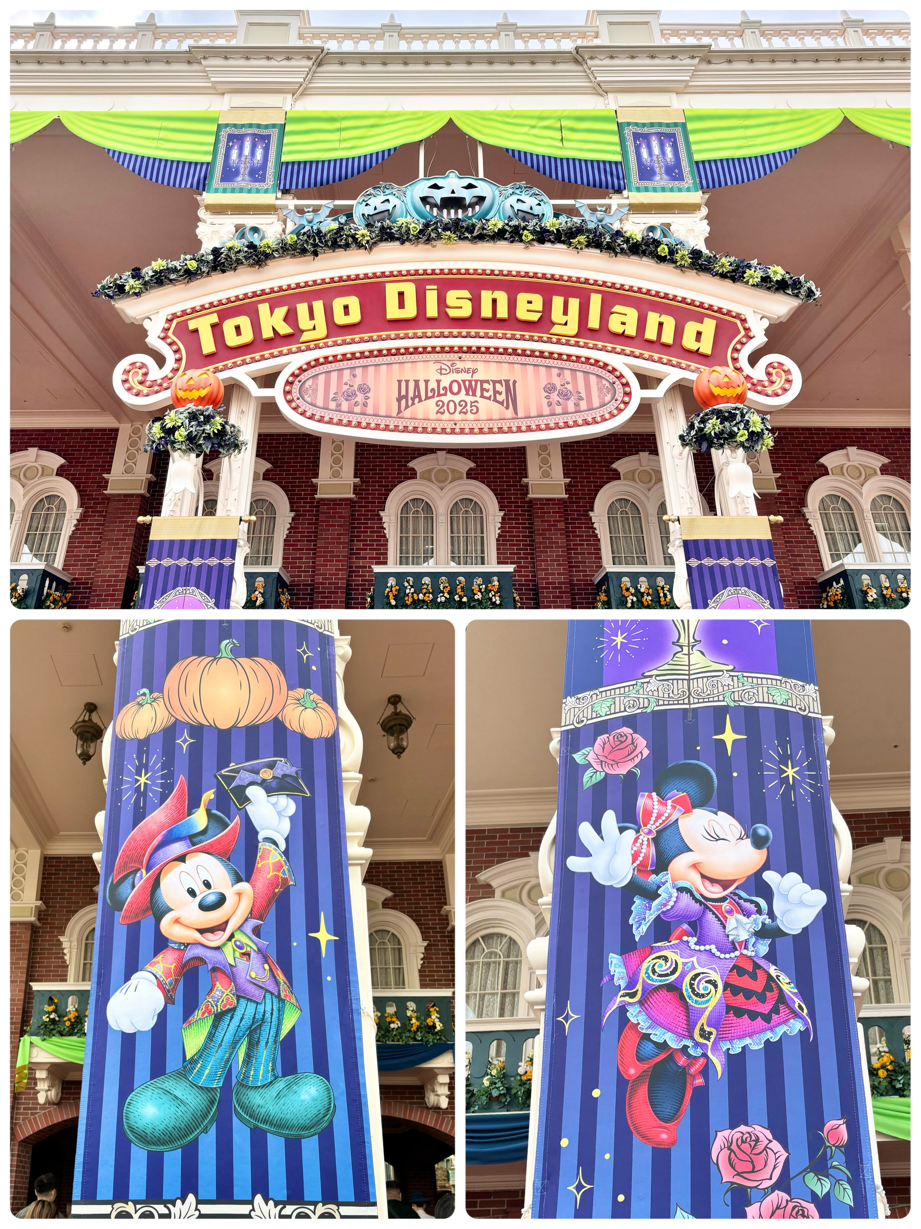 🌋🐿ディズニー大好きマニア🐭🏰 (@dis_0524) / X