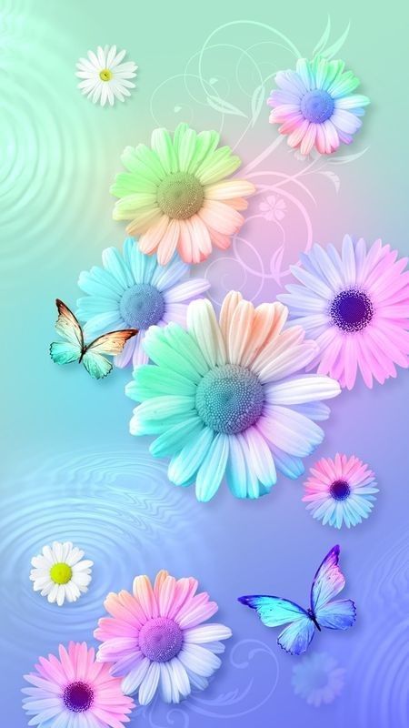 맑은어묵탕 (@soonji22choi) on Twitter photo 