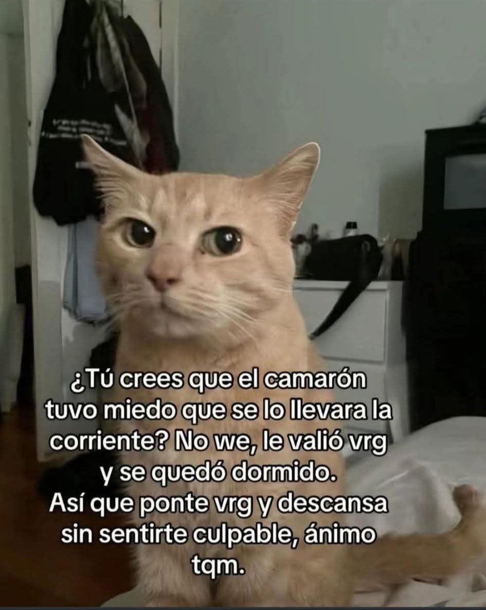 M O T I V A N D O T E (@m0tivand0te) on Twitter photo 