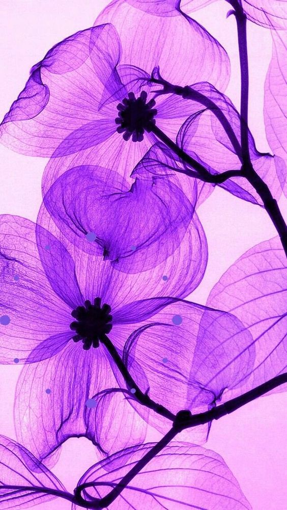 구름세상 (@cloudsesang) on Twitter photo 