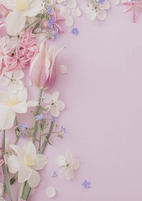 구름세상 (@cloudsesang) on Twitter photo 