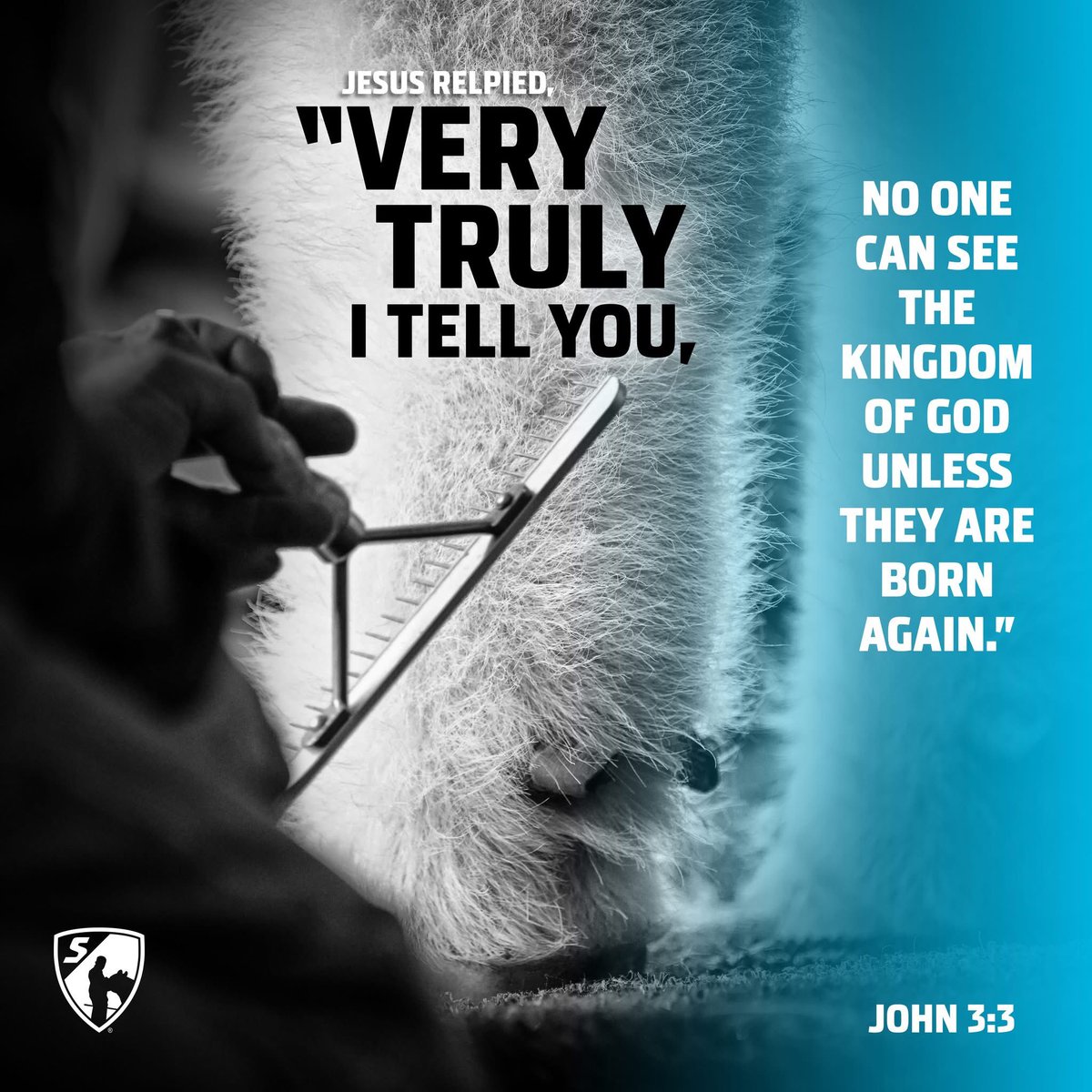 Jesus replied, “Very truly I tell you, no one can see the kingdom of God unless they are born again.”

John 3:3