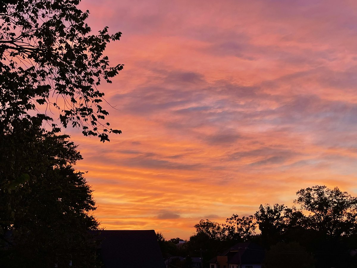 Colorful sunset view in Arlington VA today 🌅