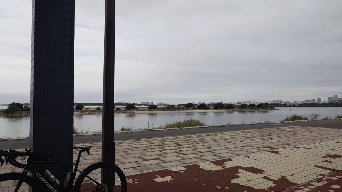 nmakita's tweet photo. いつもの公園で休憩
北風なので江戸川を南下するコース
今日は祭日、気温も低いので人多いね(集団クソローディも多いでし)
#ロードバイク
#spdシューズ
#magped
#江戸川サイクリング
#葛西臨海公園
#corratecdolomiti https://t.co/kHohTpSYbu