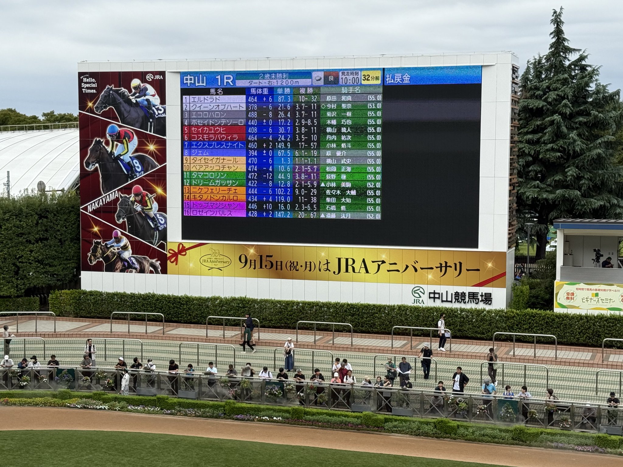 ウマフラー 芦毛 白 welcomeチャンス 非売品 来場ポイント ウマフラー 芦毛 白 welcomeチャンス 非売品 来場ポイント