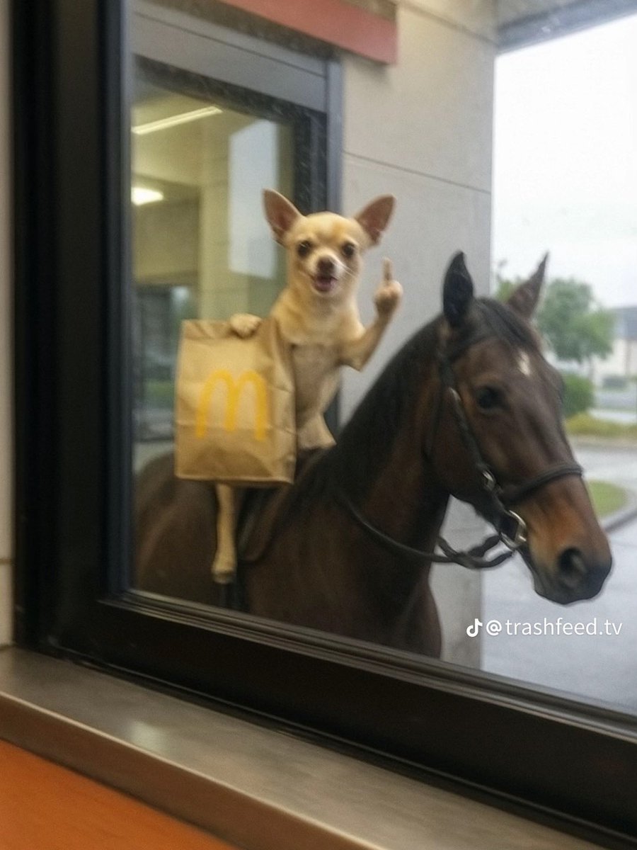 Contextking's tweet image. How I feel about the haters