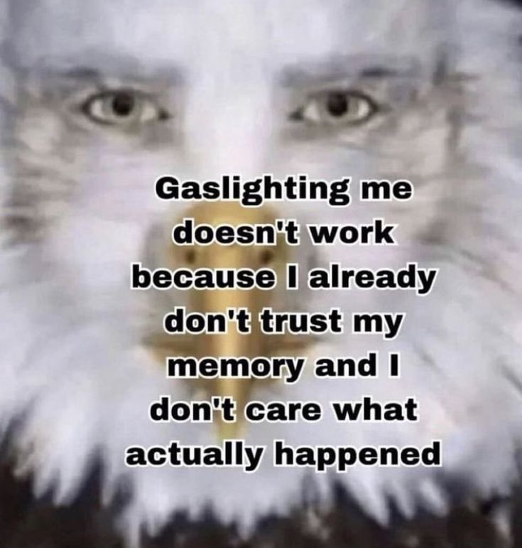 Luna🐾🐶 (@lunaetastrum) on Twitter photo 