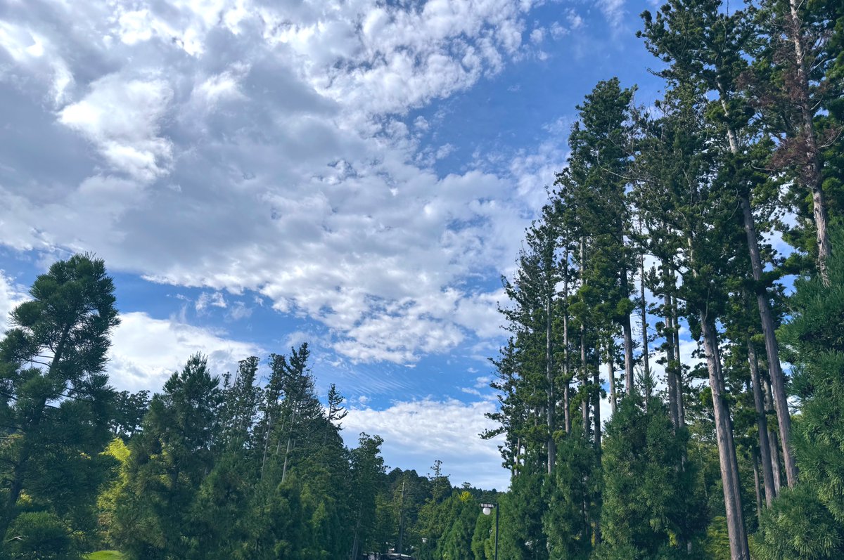 バイバイ仙台👋
3日しかいなかったけど、多分住みやすい街と思われる。