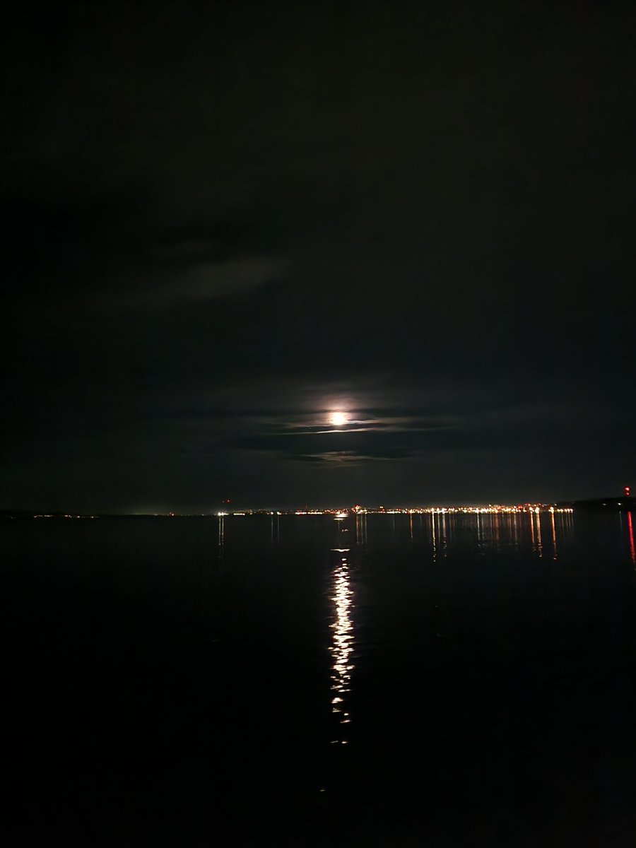 lserver362's tweet image. Sweetest show from the sweetest old man with the sweetest people in the sweetest place. Jackson Browne and my WA friends have my whole filled up heart 💖