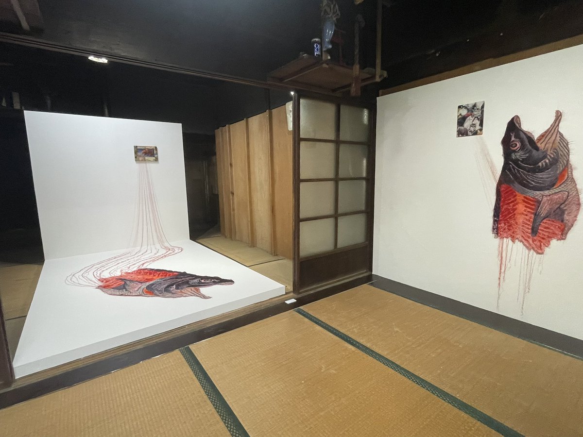 金丸悠児 Yuji Kanamaru (@yujikanamaru) / Posts / X