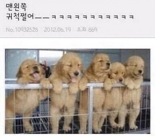 맨왼쪽
귀척쩔어ㅡㅡㅋㅋㅋㅋㅋㅋㅋㅋㅋㅋㅋ