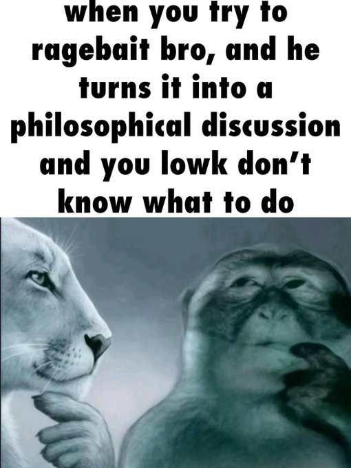 notbibawen (@notbibawen) on Twitter photo 