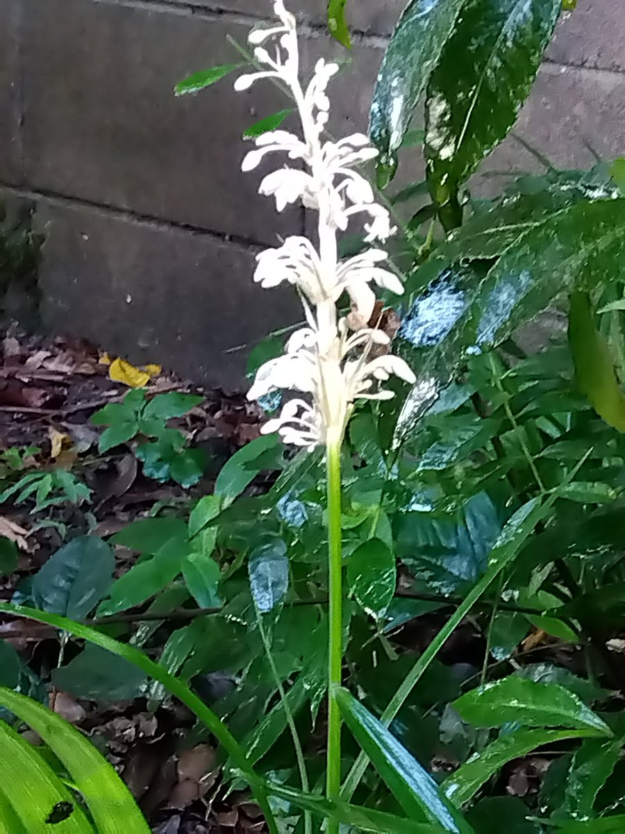 雨の日一日になりました☔

連休をお楽しみ下さい