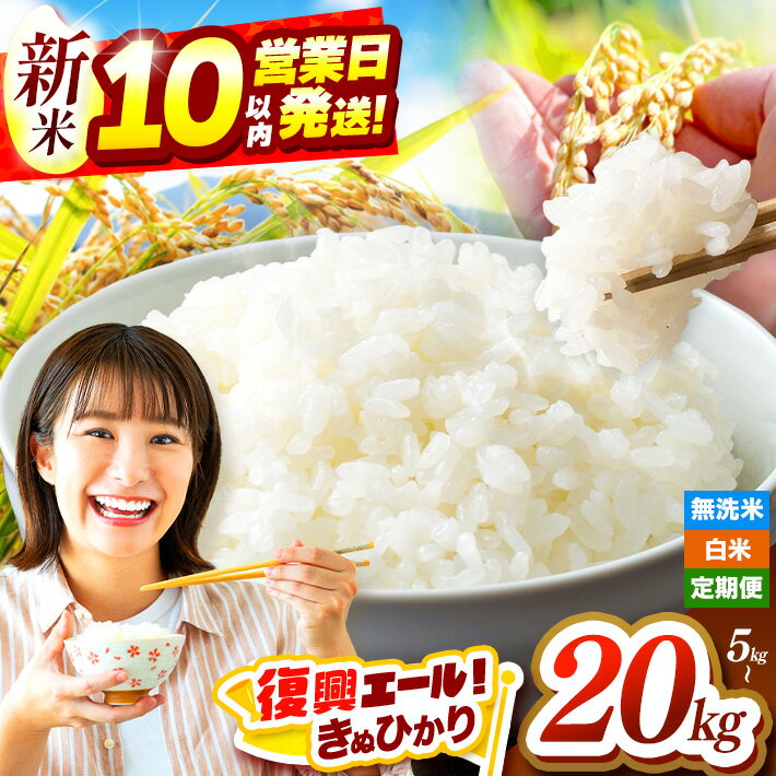 庄内 黄金の郷里 コシヒカリ 特別栽培米 5kg×2袋 精米時期3月