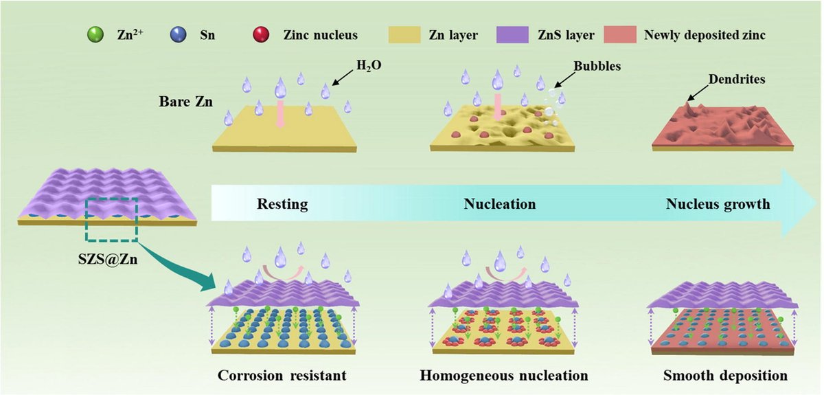 Sci_Bull's tweet photo. Buried interface engineering towards stable zinc anodes for high-performance aqueous zinc-ion batteries
See more details on https://t.co/buVvUPP9Jz
#batteries https://t.co/AdktmjDIwq