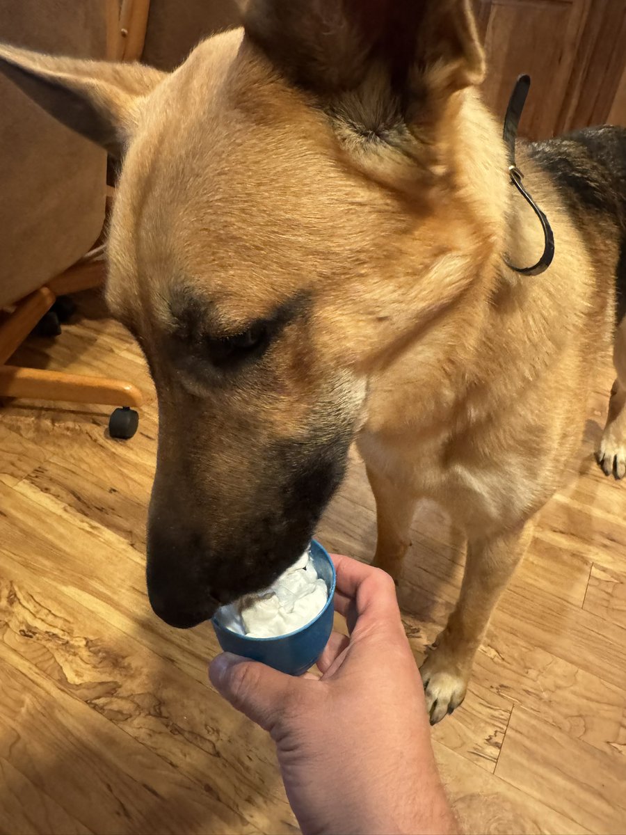 Kyle Rutledge, MS, MHA, AT, ATC tweet media