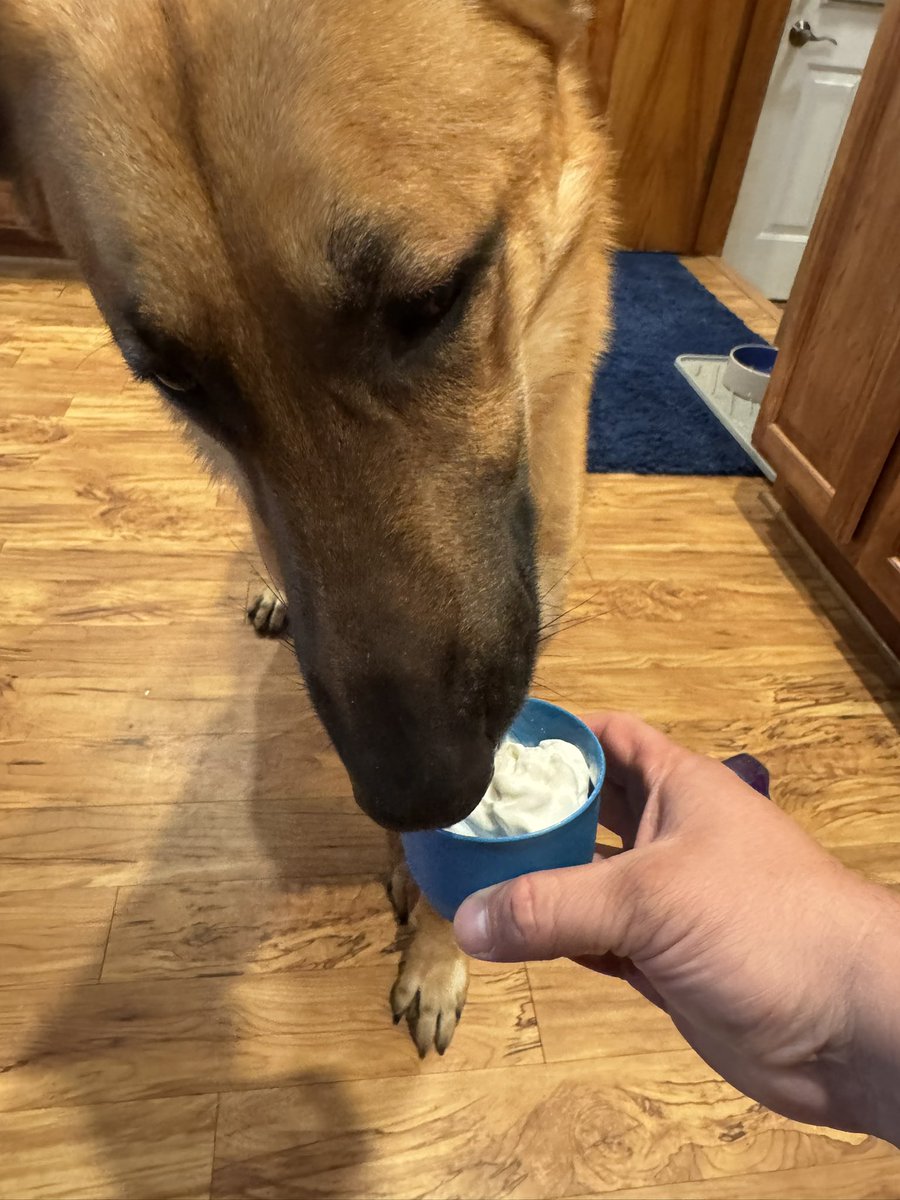 Kyle Rutledge, MS, MHA, AT, ATC tweet media