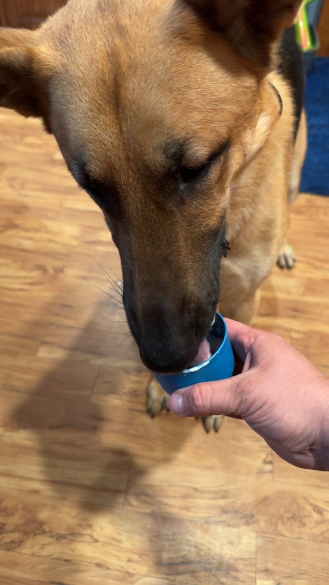 Kyle Rutledge, MS, MHA, AT, ATC tweet media