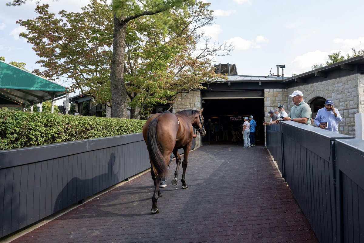 Coolmore America tweet media