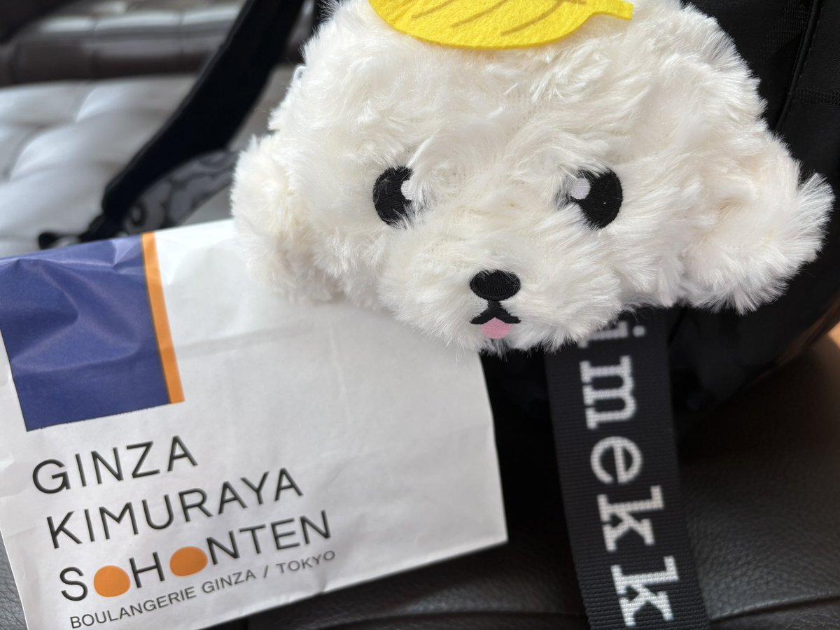 まみ🍓🎪 tweet media