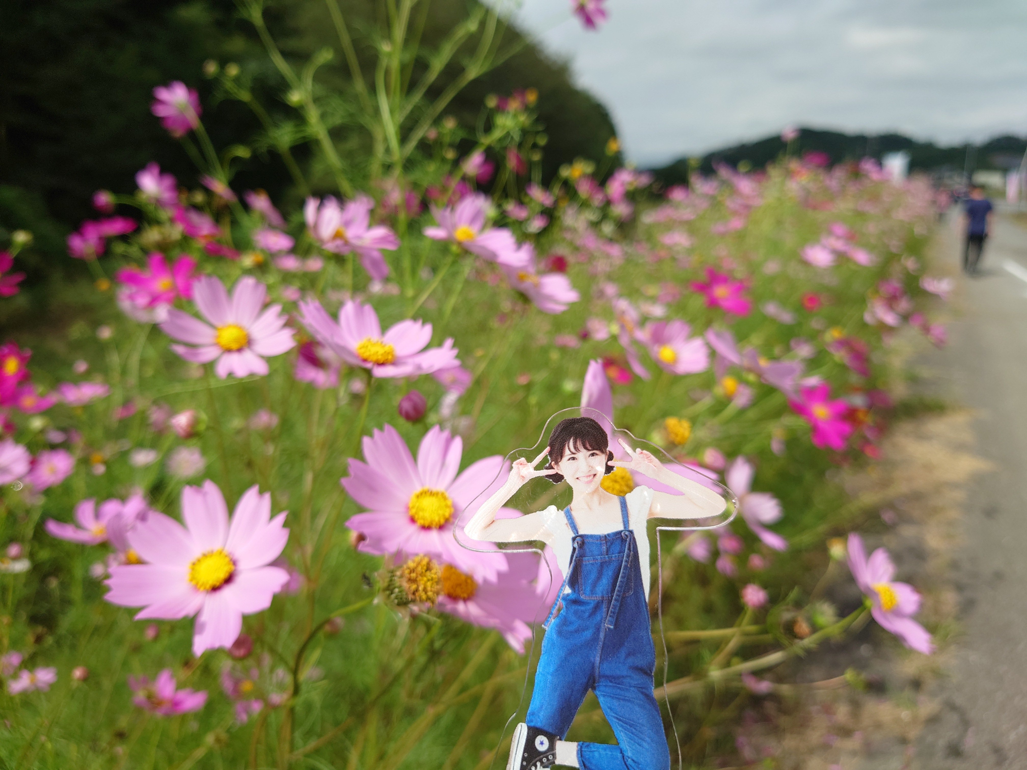 ✨コスモス様3点おまとめ✨ありがとうございます♡ X