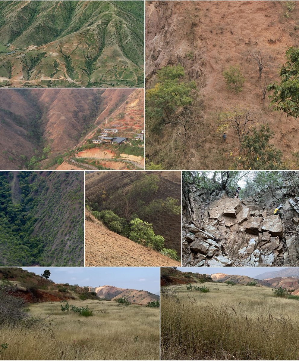 #SIF #FungalDiversity #ExtremeEnvironments #Taxonomy
 Unexplored microfungal diversity was discovered in China's dry-hot valleys!  Highlights the critical role of extreme environments as reservoirs for fungal biodiversity.
<a href="/MaximumAcademic/">Maximum Academic</a>
Details: maxapress.com/article/doi/10…
