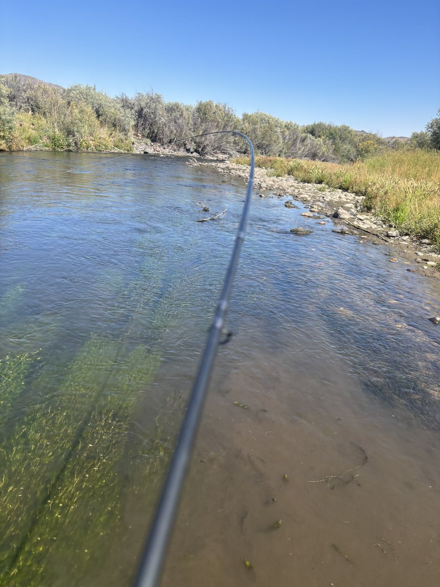 Channeling my inner <a href="/hwinkler4real/">Henry Winkler</a> Spending a day on the water is a good reset