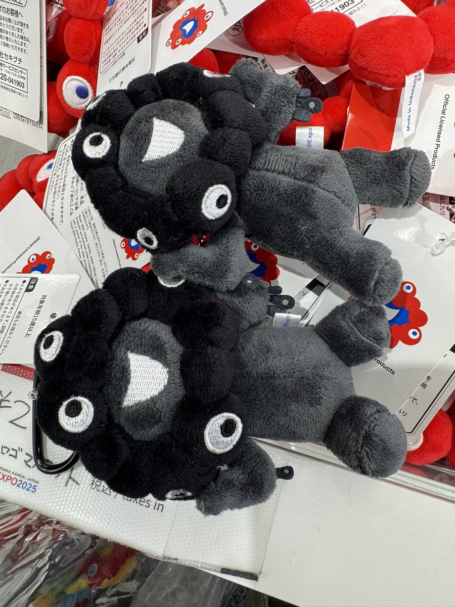 1h0r2k8's tweet image. 快晴！！
黒ミャクげっと！！