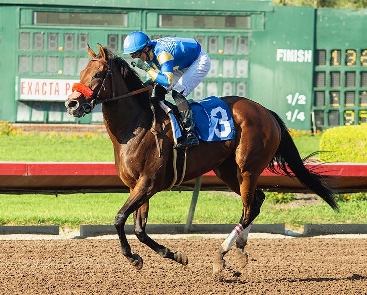 California Racing Partners tweet media