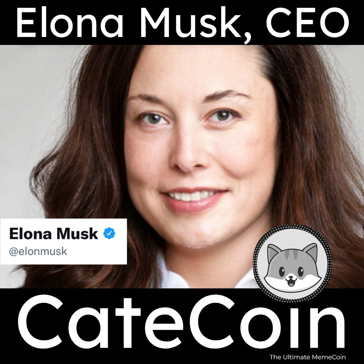 W.L. Cate tweet media