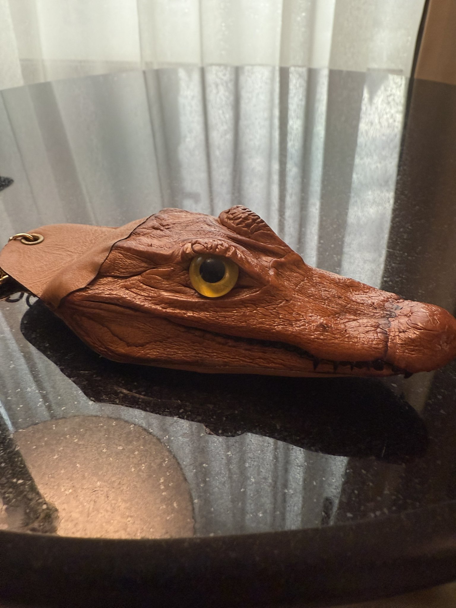 オイカワの剥製 美品 珍作 オイカワの剥製 美品 珍作 【公式通販】