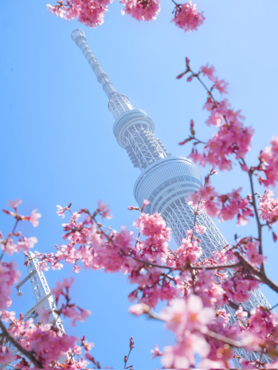 お写ん歩って楽しい☺️
私も写真撮りながら撮ってもらったり📸
1枚目 <a href="/ak2611/">suzuaki2611</a> さん
2枚目 私撮影📸

#写真好きな人と繋がりたい 
#キリトリセカイ 
#被写体 #ポートレートしま専科 
#ポートレート撮影 #お写ん歩