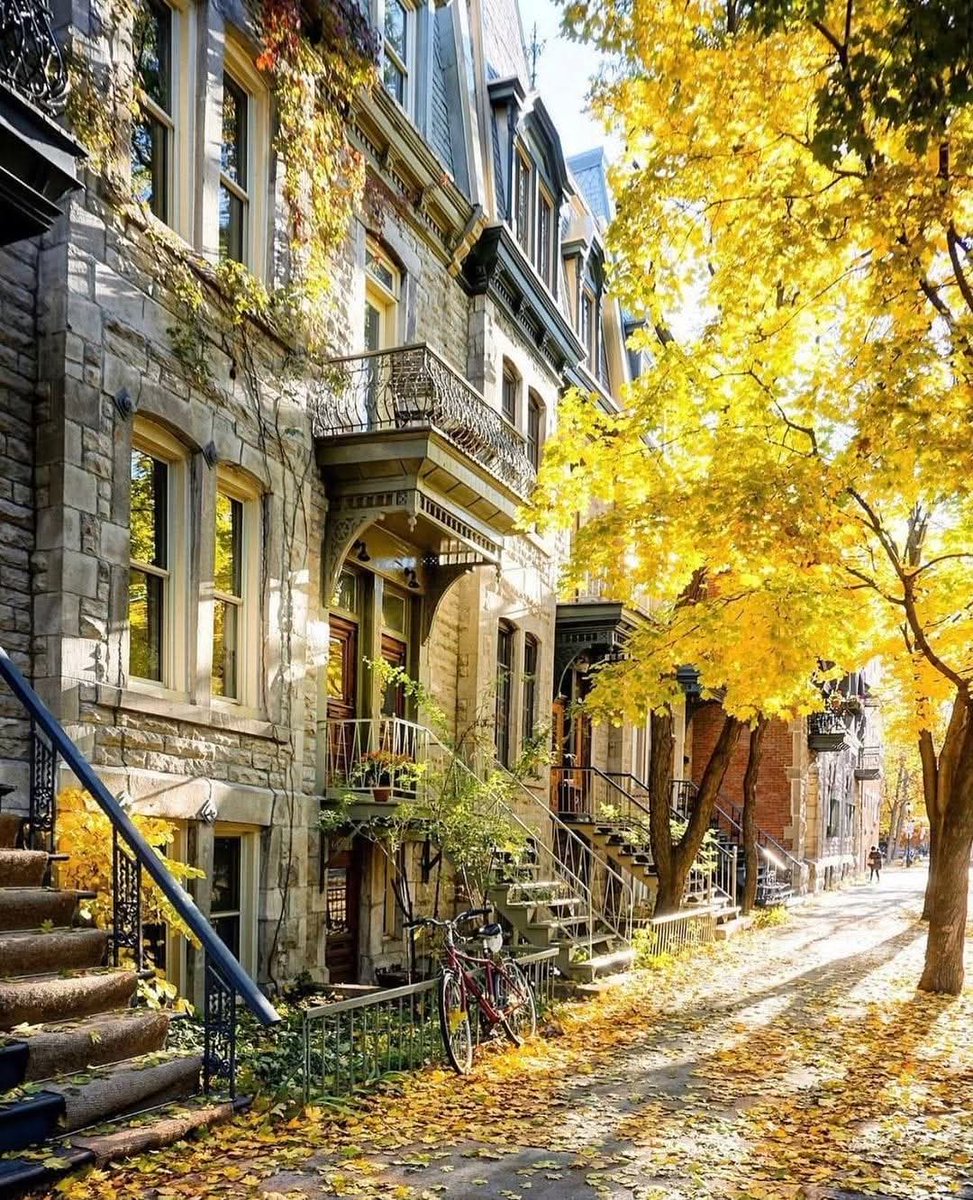 Montreal / Canada .... 🍁🌿🍂

📸 : a_ontheroad