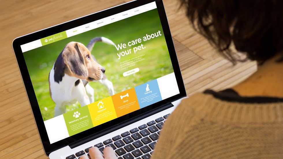 jodadi_o's tweet image. TOP TIP: Your meta description is like your website&apos;s shop window, while the title tag is like the store&apos;s sign.

Read more 👉 bit.ly/3ZEBwhT

#EasyTips #PetBusiness #SimpleTricks