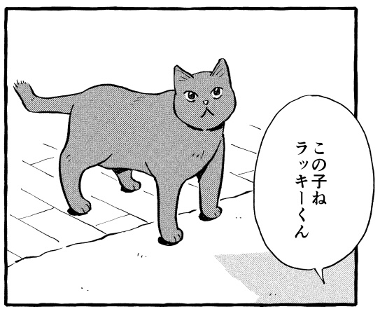 ねこのそら様 0mXzjTs682-pUB3L.jpg