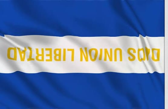 "País mío no existes
sólo eres una mala silueta mía
una palabra que le creí al enemigo"
Roque