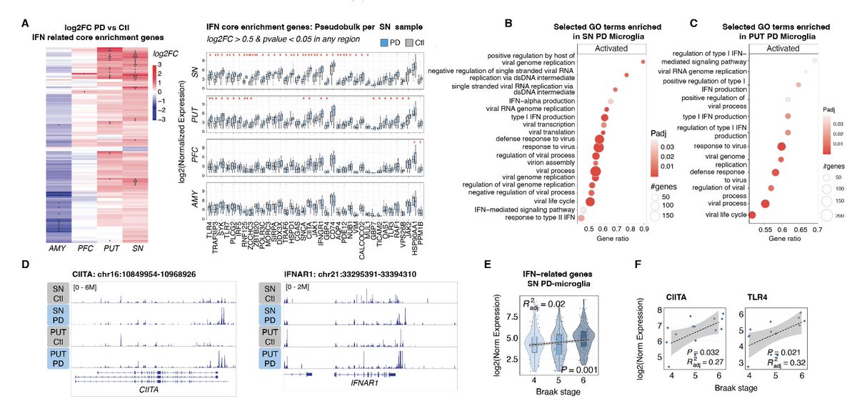 LukensJohnR's tweet image. Activation of transposable elements is linked to a region- and cell-type-specific interferon response in Parkinson’s disease biorxiv.org/content/10.110…