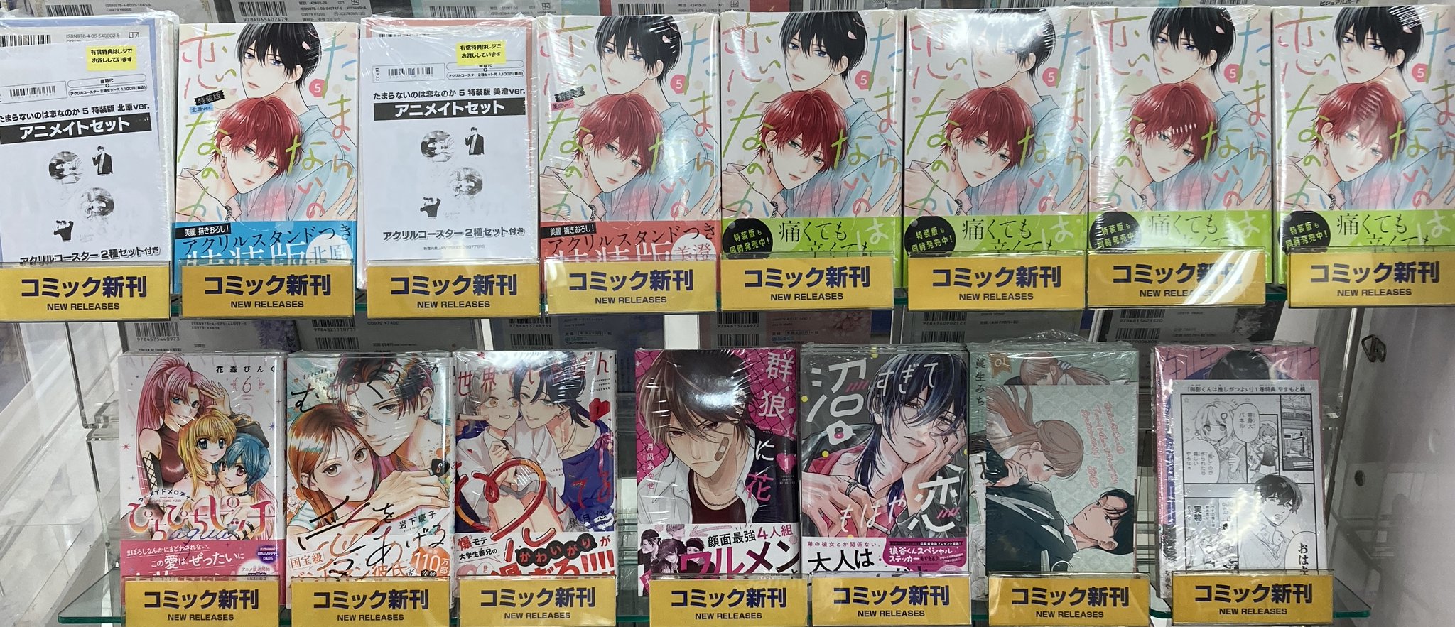 たまらないのは恋なのか　1〜4 アニメイト限定特典付き　初版 2025年最新】たまらないのは恋なのかアニメイトの人気アイテム