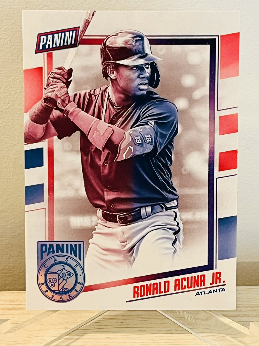 Day 6 Post 77 - $10

Panini National Case Breaker Acuna 
#Moorestacks #thehobby