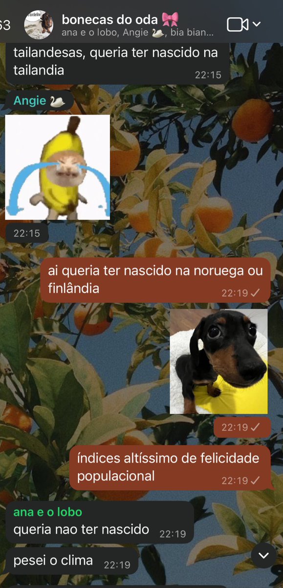 bonecascomoda's tweet photo. sempre a ana na cena do crime https://t.co/znwK3wK7Uy