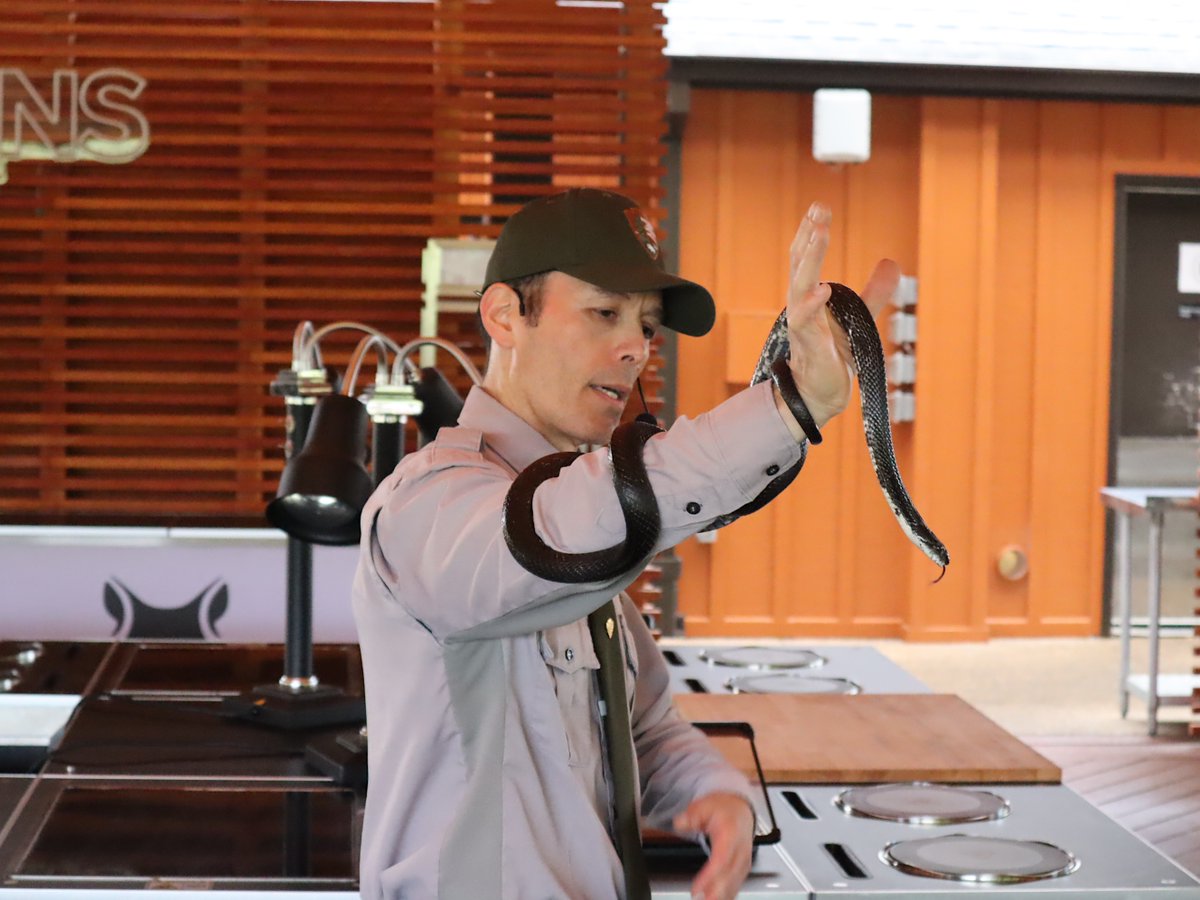 Friends of Wolf Trap National Park tweet media