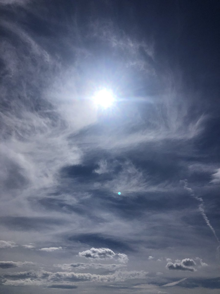 miko_el888's tweet photo. 🩵🦅🤍🐩 ⋆ฺ .𓂃 ꧁(°▽°)꧂
空って、私のキンの色の組み合わせ
だから、宇宙 観るの好きなんだ 💗 笑
🎂🍷マヤ暦 🥳🎊
#おめでとう
#同じ人たちも
#青い鷲
#白い犬
#kin175
#暑い日の空
250901 https://t.co/rDKs2RN1LB