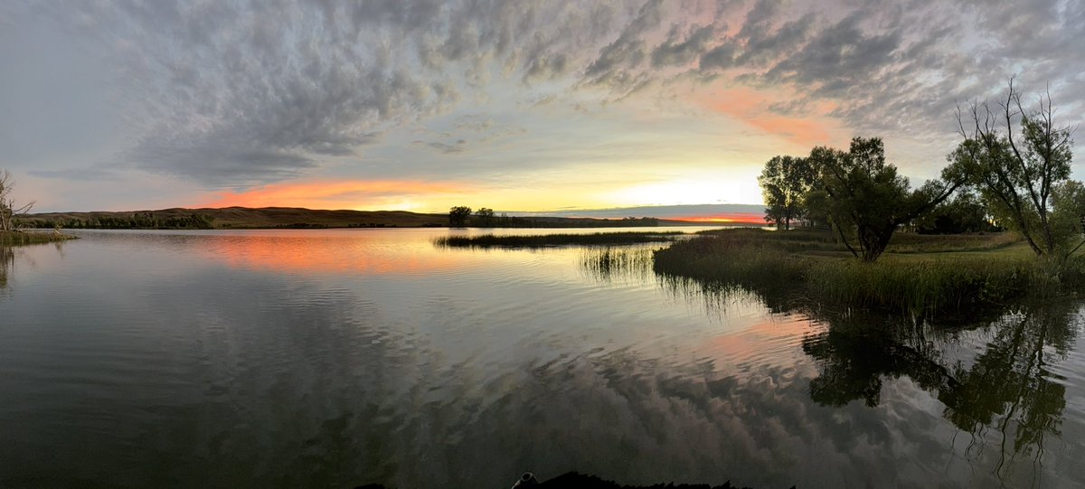 dkirkpatricks's tweet photo. Beautiful! https://t.co/OL2t6I6r1q