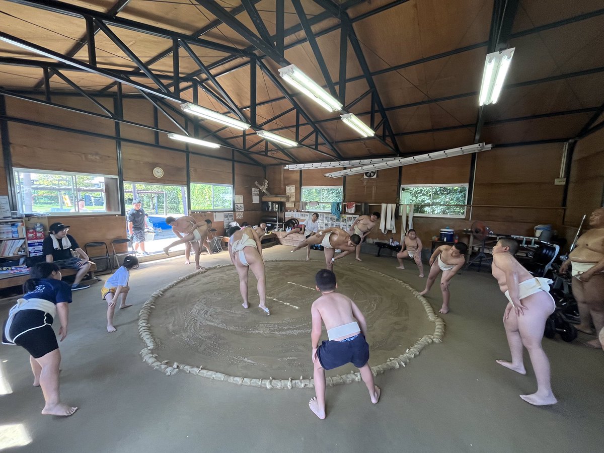 takehara_sumo's tweet photo. 毎週土曜日の稽古には県内各地から小中女子選手を集めて合同稽古を開催しています😊👏✨毎週10名以上の子ども達が集まり、高校生も指導することで勉強になります😊👍✨これからも続けて頑張ります🏋️‍♂️🌸✨ https://t.co/7LM3aoQrzt